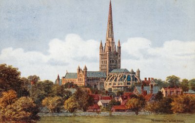 Catedral de Norwich de Alfred Robert Quinton